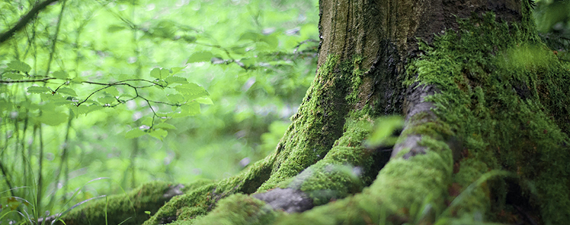 可持續發展的未來，我們已在路上